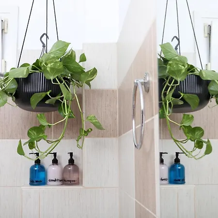 Appartamento Casa Di Fiore